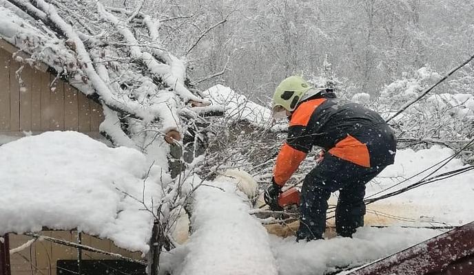 Bitrix 91168: 152046292_426152368666642_4457407605082833450_n.jpg