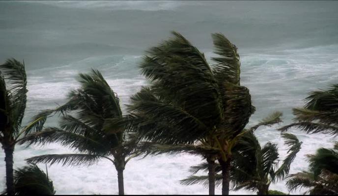 Bitrix 92140: 1589563843_987118171_honolulu_orageux_palmier_ocean_pacifique.jpg