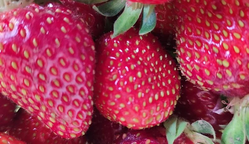 Bitrix 183255: 15.jpeg