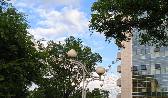 Bitrix 119789: 1656207711234.jpg