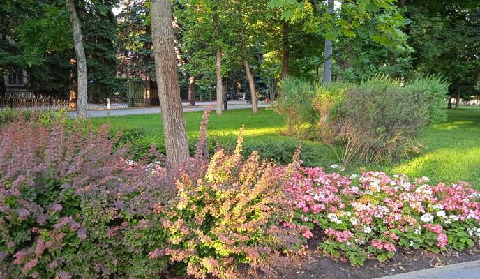 Bitrix 119910: 1656460202528.jpg