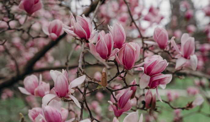 Bitrix 129155: 16_03_2020_10.jpg