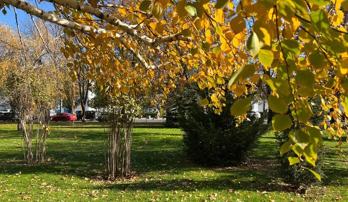 Bitrix 161604: 17047cb4_2917_457e_8999_bc26bfdf501e.jpg