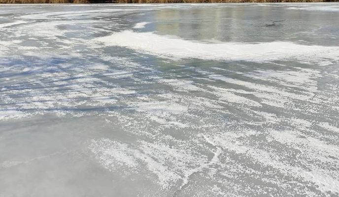 Bitrix 182823: 17.jpg