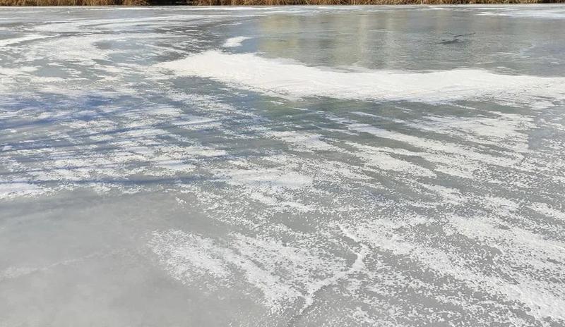 Bitrix 182823: 17.jpg