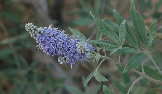 Bitrix 95987: 184092622_280058590468334_3664519974309218079_n.jpg