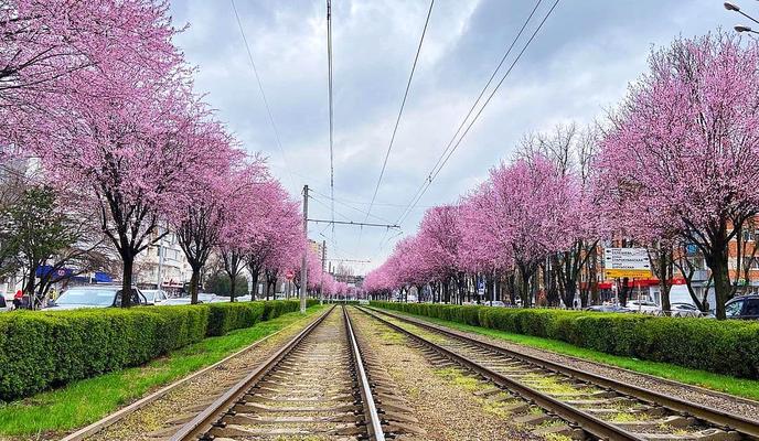 Bitrix 94190: 18C77303_496E_45BE_B802_2E1793ECB57C.jpeg