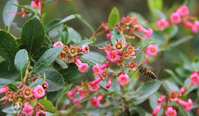 Bitrix 97665: 198475598_234888408085211_7420039815025632875_n.jpg