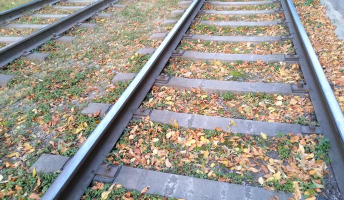 Bitrix 159570: 1.jpg