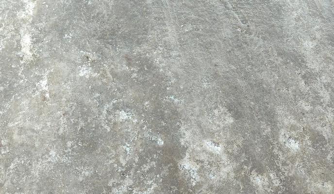 Bitrix 183483: 1.jpg