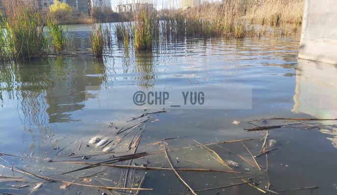 Bitrix 131598: 1.jpg