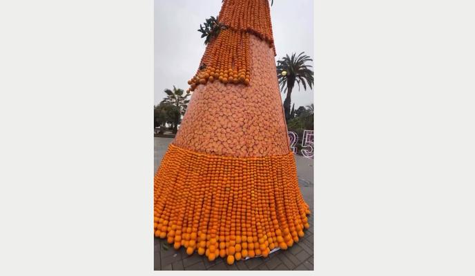 Bitrix 164341: 1.png