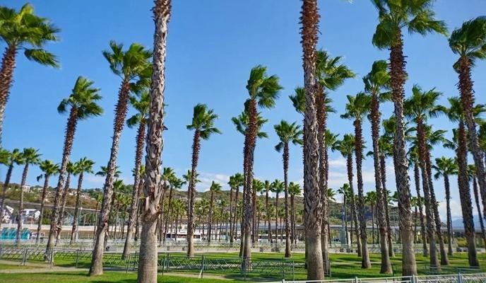 Bitrix 162306: 1.jpeg