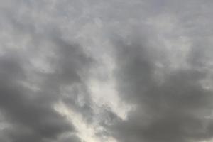 Bitrix 159029: 1.jpg