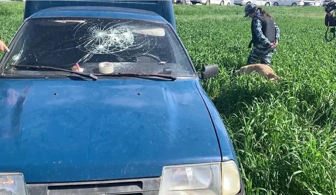 Bitrix 117802: 1.jpg