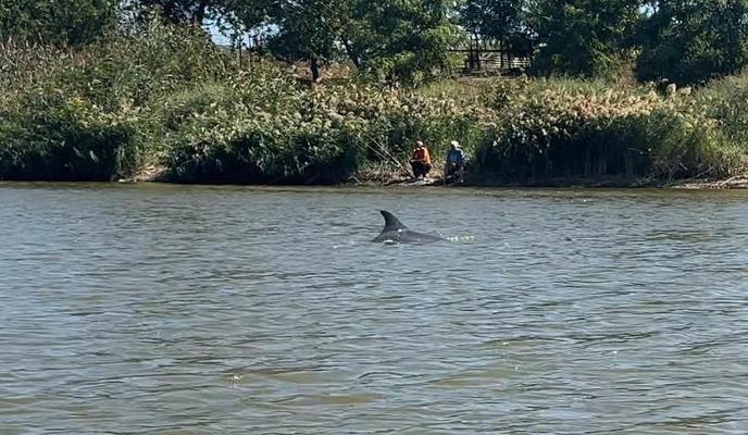 Bitrix 177205: 1.jpg