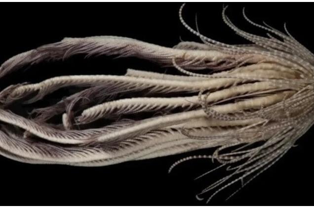 Bitrix 139230: 1.jpg