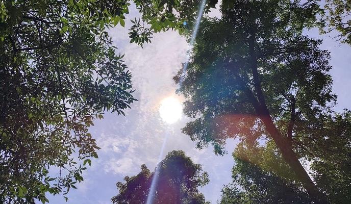 Bitrix 154471: 1.jpg