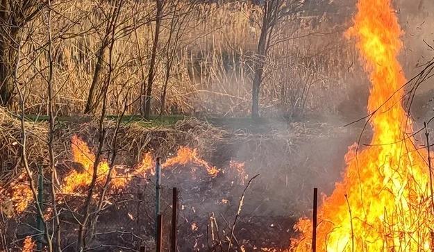 Bitrix 168219: 1.jpg