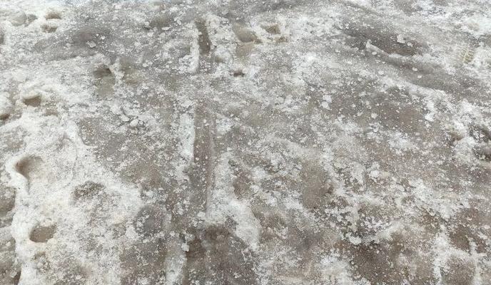 Bitrix 183090: 1.jpg