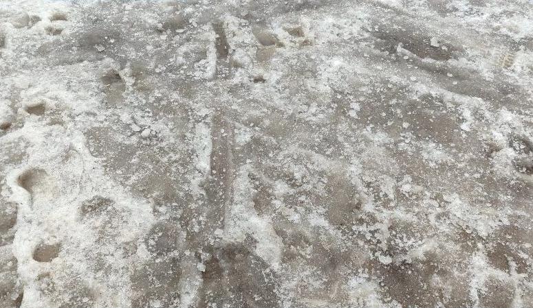 Bitrix 183090: 1.jpg