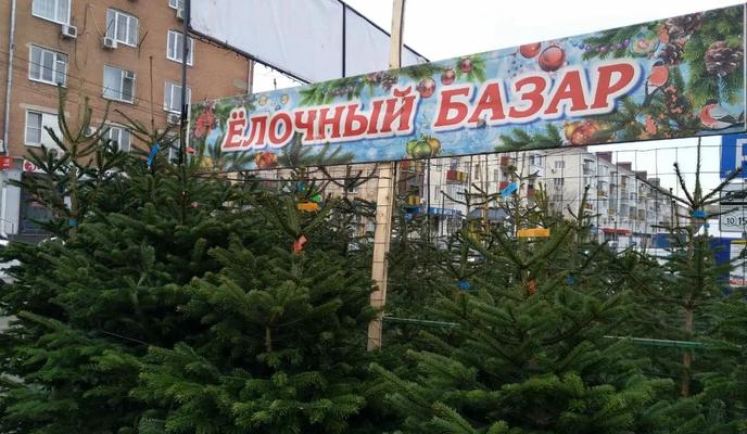 Bitrix 162615: 1.jpeg