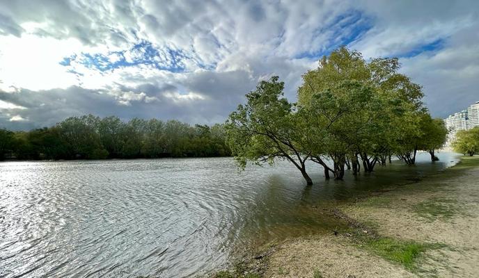 1b578ebe-2a55-476e-9010-2c61e41d7f51