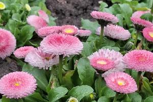 1fba1e77-5f52-4751-9fe3-d65221899e9a