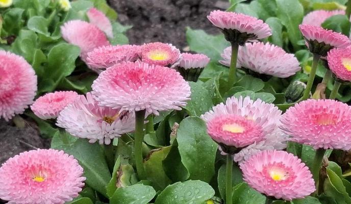 1fba1e77-5f52-4751-9fe3-d65221899e9a