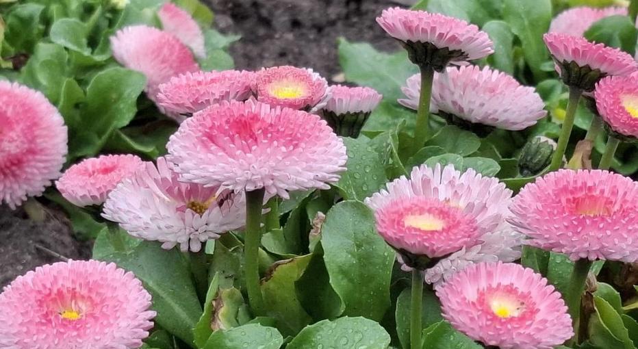 1fba1e77-5f52-4751-9fe3-d65221899e9a