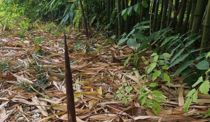 Bitrix 141705: 1w9hU7sN07o.jpg