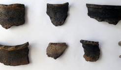 Bitrix 161734: 2._Fragmenty_lepnykh_sosudov_300x142.jpg