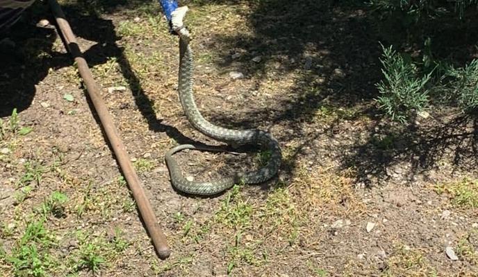 Bitrix 97907: 200214363_1399646633734780_3837858482970413081_n.jpg