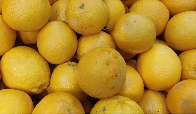 Bitrix 162419: 200.jpg