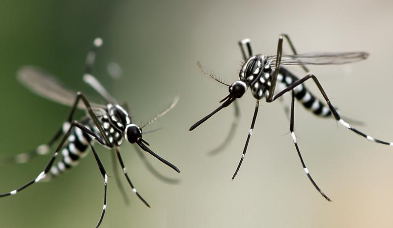 Bitrix 172184: 200.png