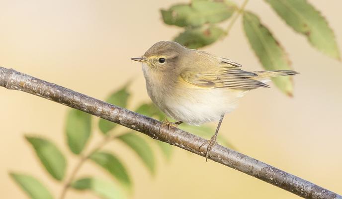 Bitrix 139891: 2022_10_02_07.22.19.jpg