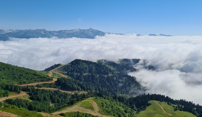 Bitrix 140577: 20230801_155407-_1_.jpg