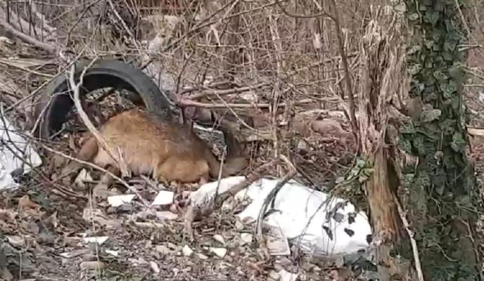 Bitrix 147488: 2024_03_04_17_05_11.png