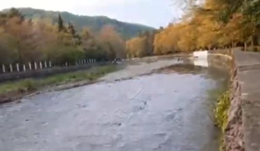 Bitrix 149877: 2024_04_16_08_36_36.png