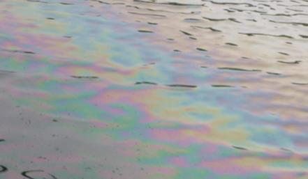 Bitrix 150422: 2024_04_24_15_19_26.png