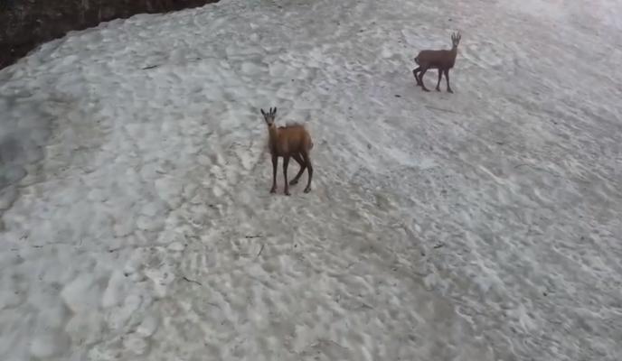 Bitrix 153352: 2024_06_19_08_42_21.png