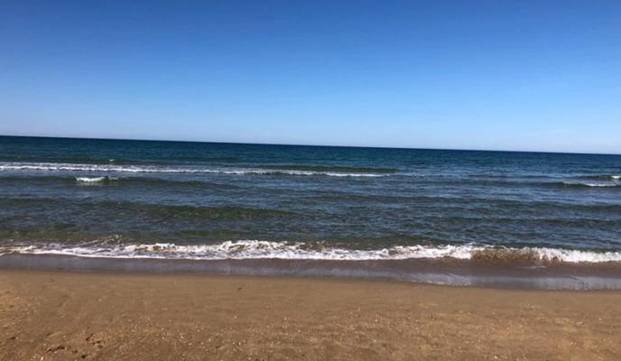 Bitrix 153620: 2024_06_24_08_13_28.png