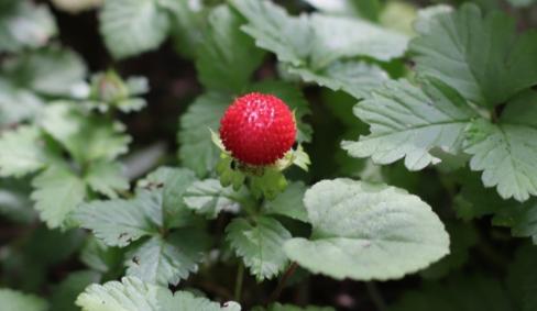 Bitrix 154917: 2024_07_14_10_25_55.png