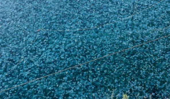 Bitrix 155046: 2024_07_16_16_53_52.png