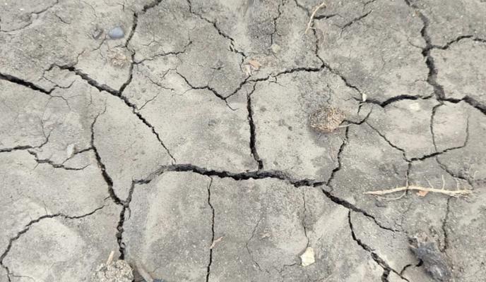 Bitrix 156049: 2024_08_01_11_24_17.png