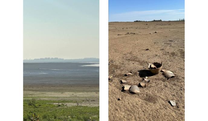 Bitrix 157078: 2024_08_21_17_34_11.png