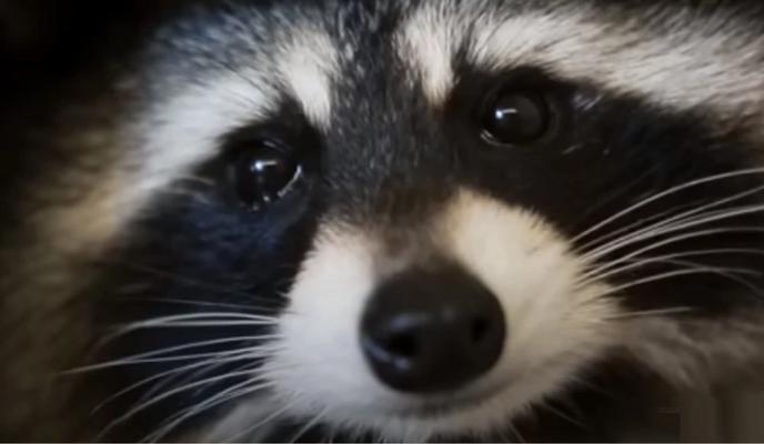 Bitrix 158176: 2024_09_10_13_52_06.png