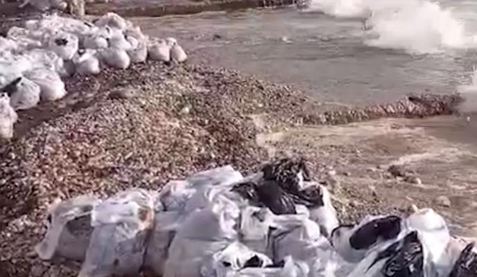 Bitrix 160104: 2024_10_14_18_07_55.png