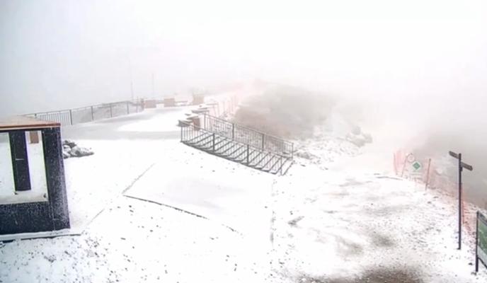 Bitrix 160220: 2024_10_17_09_58_21.png