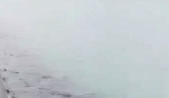 Bitrix 160395: 2024_10_22_12_15_58.png